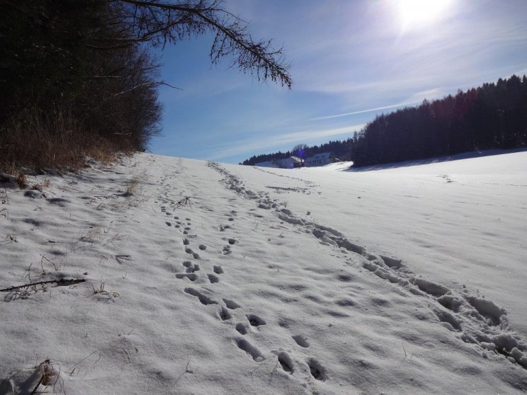Winterwanderweg