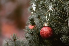 Weihnachtsbaumentsorgung