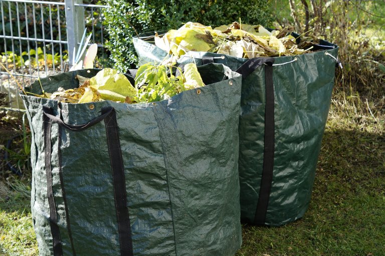 Grüncontainer